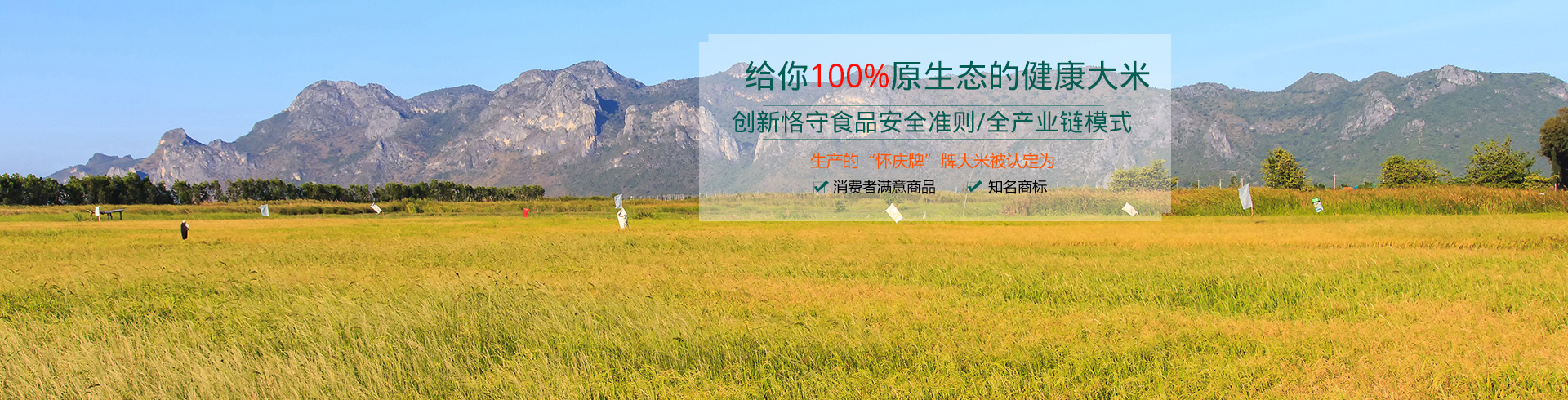 湖北久連環新材料有限公司